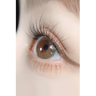 LensVery 1Day – The World Taro Jeom Green塔羅墨綠 日拋 每盒10片